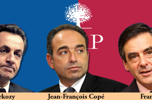 Article : Poulailler de l’UMP : les coqs maudits de Sarkozy croisent les ergots.