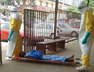 Article : Le yoyo d’ebola : une histoire dont les héros sont connus